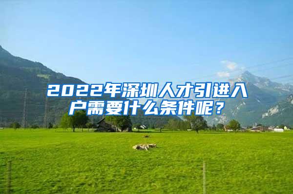 2022年深圳人才引進(jìn)入戶需要什么條件呢？