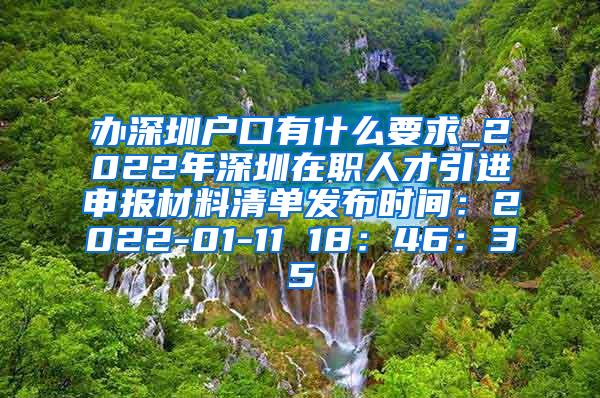 辦深圳戶口有什么要求_2022年深圳在職人才引進(jìn)申報材料清單發(fā)布時間：2022-01-11 18：46：35