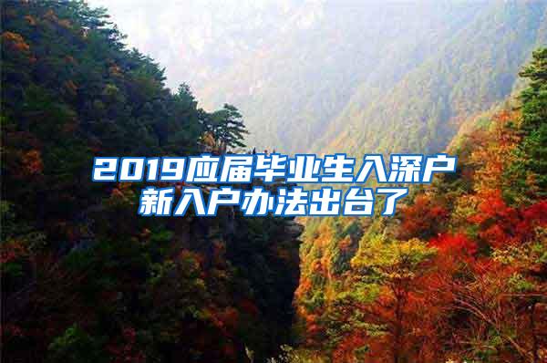 2019應(yīng)屆畢業(yè)生入深戶新入戶辦法出臺了