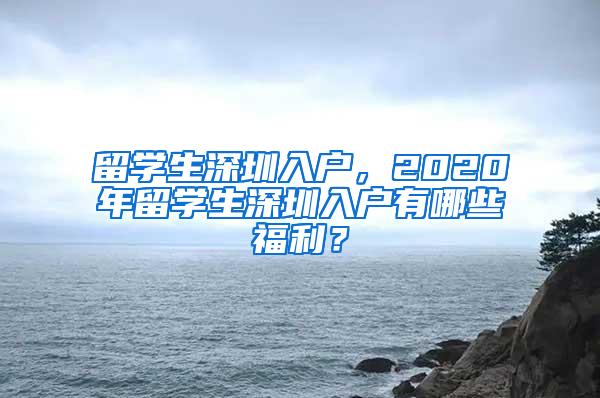 留學(xué)生深圳入戶，2020年留學(xué)生深圳入戶有哪些福利？