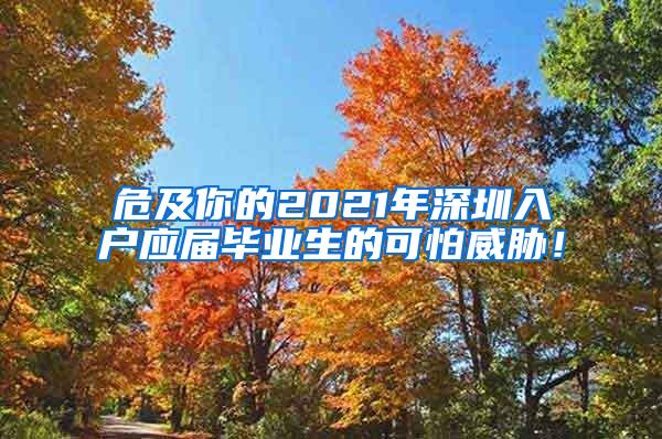 危及你的2021年深圳入戶應(yīng)屆畢業(yè)生的可怕威脅！