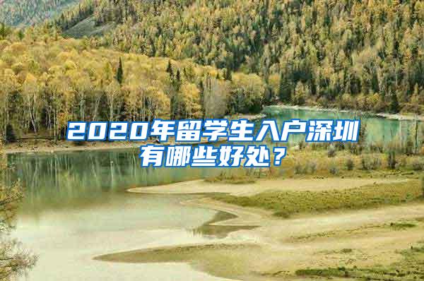 2020年留學(xué)生入戶(hù)深圳有哪些好處？