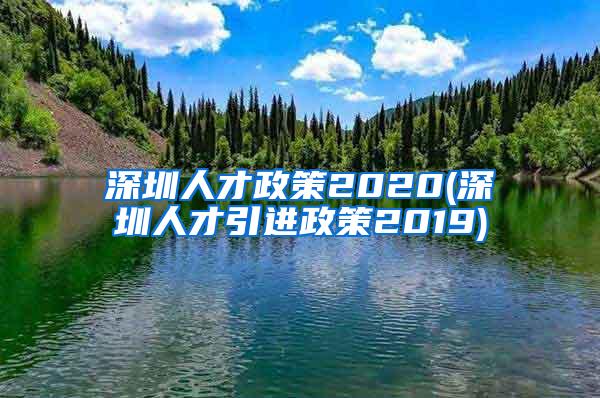 深圳人才政策2020(深圳人才引進政策2019)