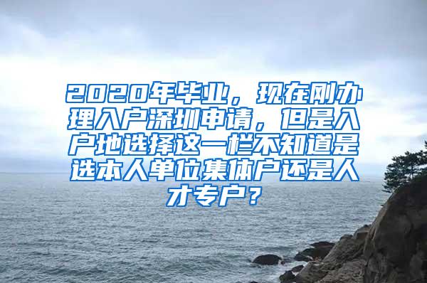 2020年畢業(yè)，現(xiàn)在剛辦理入戶深圳申請，但是入戶地選擇這一欄不知道是選本人單位集體戶還是人才專戶？