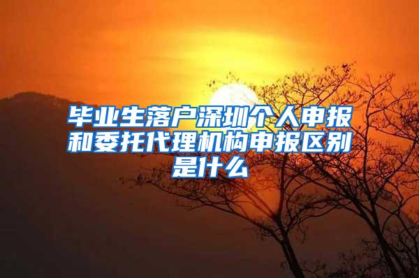 畢業(yè)生落戶深圳個人申報和委托代理機構(gòu)申報區(qū)別是什么