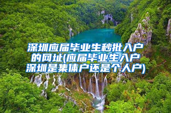 深圳應(yīng)屆畢業(yè)生秒批入戶的網(wǎng)址(應(yīng)屆畢業(yè)生入戶深圳是集體戶還是個(gè)人戶)