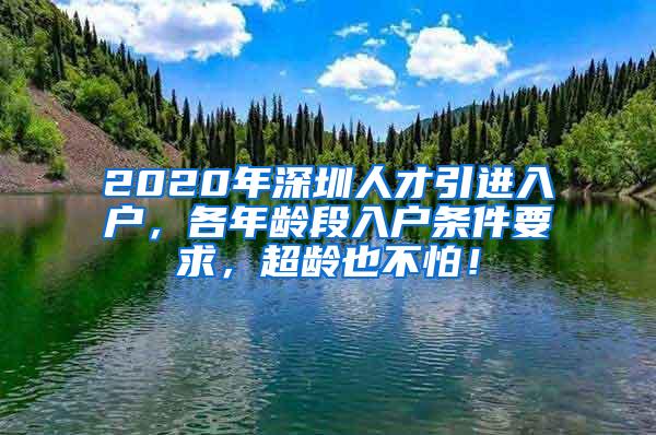 2020年深圳人才引進(jìn)入戶(hù)，各年齡段入戶(hù)條件要求，超齡也不怕！