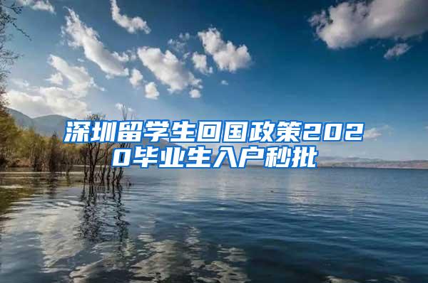 深圳留學生回國政策2020畢業(yè)生入戶秒批