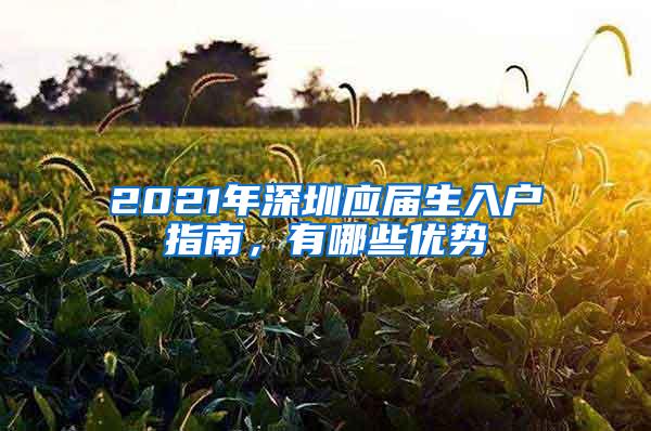 2021年深圳應(yīng)屆生入戶指南，有哪些優(yōu)勢