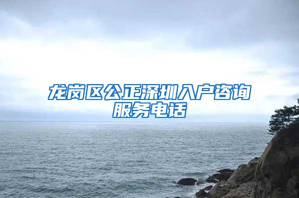 龍崗區(qū)公正深圳入戶咨詢服務電話