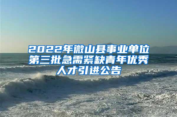 2022年微山縣事業(yè)單位第三批急需緊缺青年優(yōu)秀人才引進公告