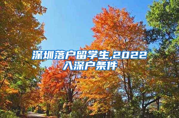 深圳落戶留學(xué)生,2022入深戶條件