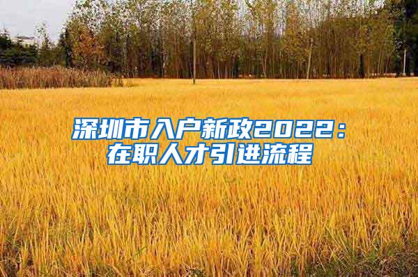 深圳市入戶新政2022：在職人才引進流程