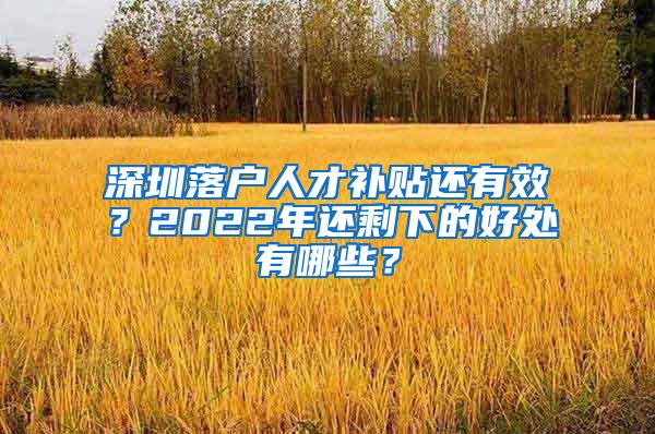 深圳落戶(hù)人才補(bǔ)貼還有效？2022年還剩下的好處有哪些？