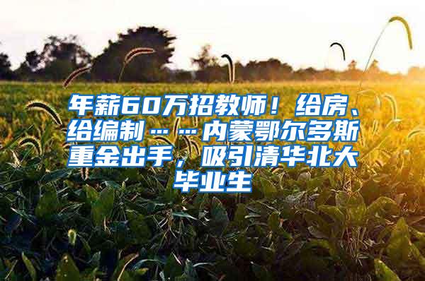 年薪60萬招教師！給房、給編制……內(nèi)蒙鄂爾多斯重金出手，吸引清華北大畢業(yè)生