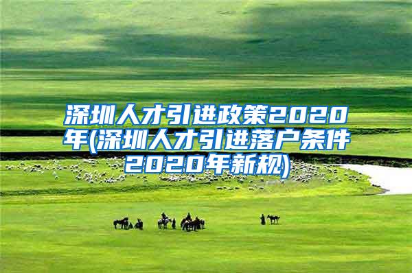 深圳人才引進(jìn)政策2020年(深圳人才引進(jìn)落戶條件2020年新規(guī))