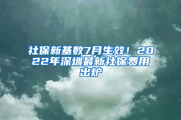 社保新基數(shù)7月生效！2022年深圳最新社保費用出爐