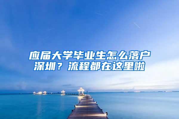 應(yīng)屆大學(xué)畢業(yè)生怎么落戶深圳？流程都在這里啦