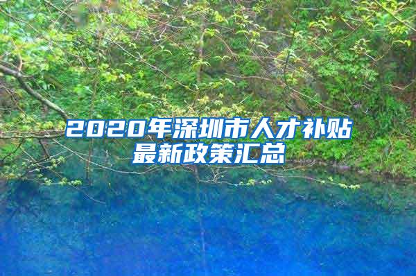 2020年深圳市人才補(bǔ)貼最新政策匯總