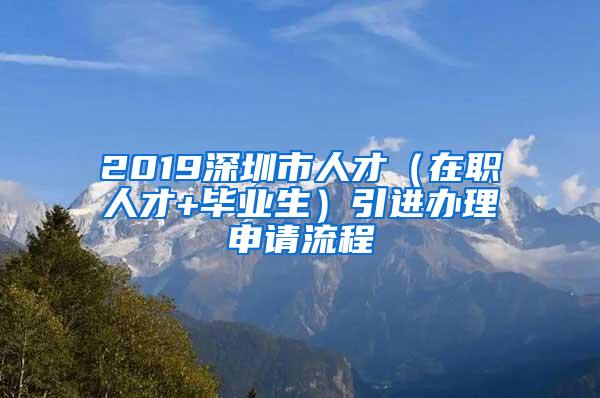 2019深圳市人才（在職人才+畢業(yè)生）引進(jìn)辦理申請(qǐng)流程