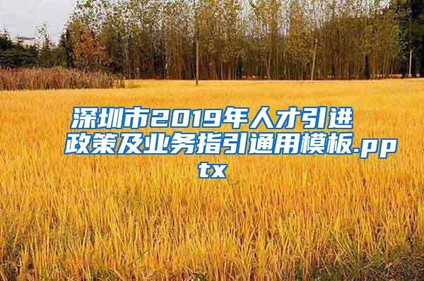 深圳市2019年人才引進(jìn)政策及業(yè)務(wù)指引通用模板.pptx