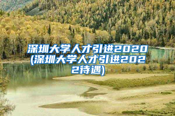 深圳大學(xué)人才引進(jìn)2020(深圳大學(xué)人才引進(jìn)2022待遇)