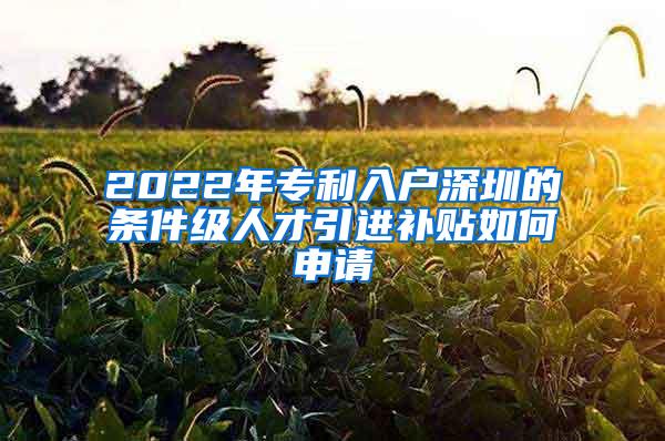 2022年專利入戶深圳的條件級(jí)人才引進(jìn)補(bǔ)貼如何申請(qǐng)