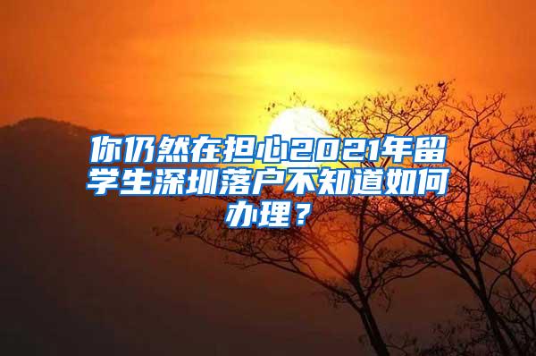 你仍然在擔(dān)心2021年留學(xué)生深圳落戶不知道如何辦理？