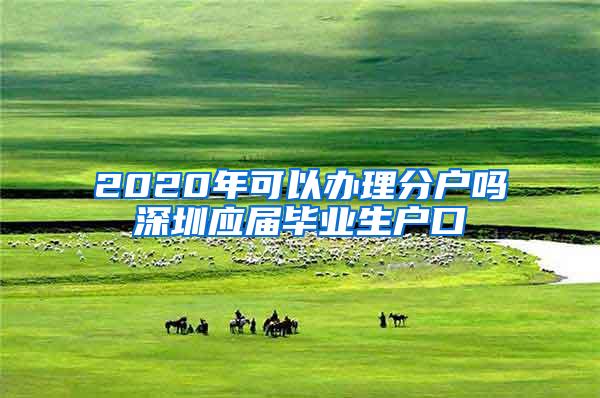 2020年可以辦理分戶嗎深圳應(yīng)屆畢業(yè)生戶口