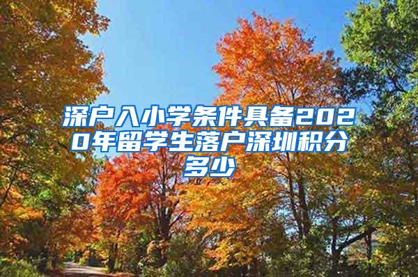 深戶入小學(xué)條件具備2020年留學(xué)生落戶深圳積分多少