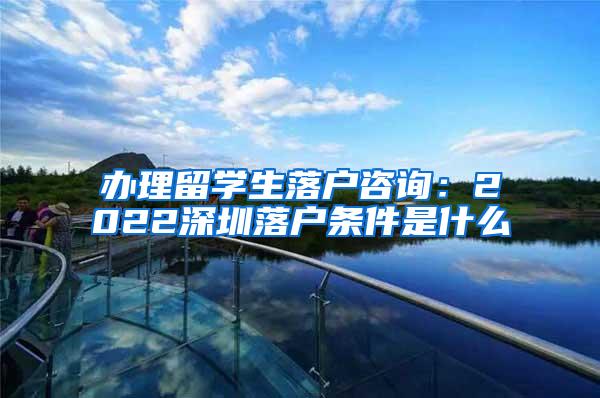 辦理留學生落戶咨詢：2022深圳落戶條件是什么