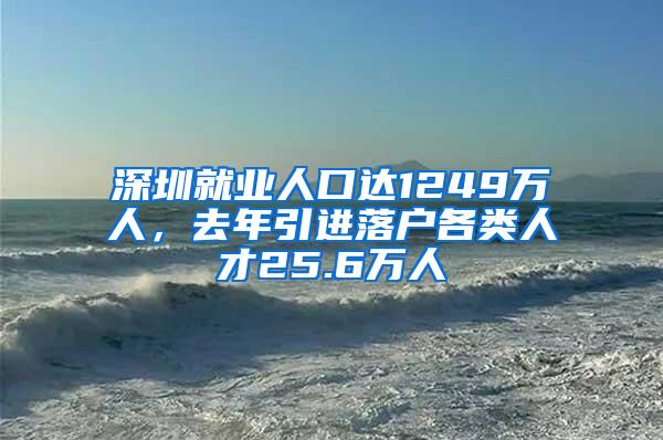 深圳就業(yè)人口達1249萬人，去年引進落戶各類人才25.6萬人