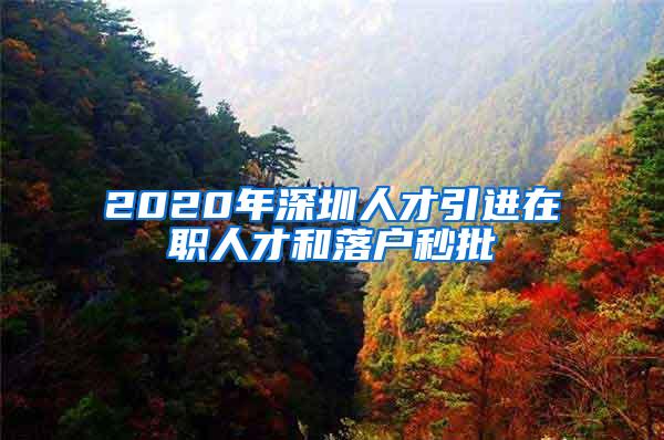 2020年深圳人才引進在職人才和落戶秒批