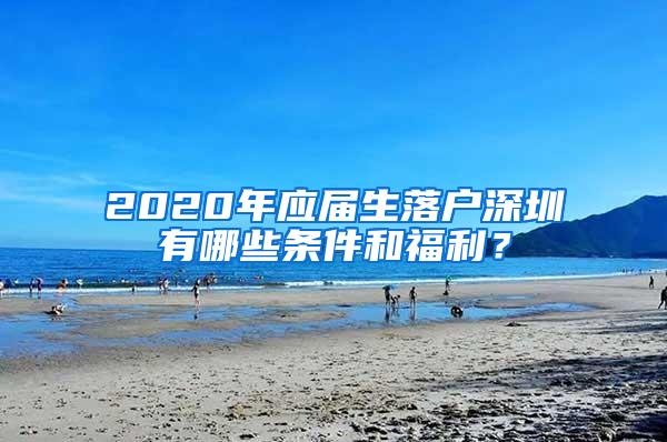 2020年應(yīng)屆生落戶深圳有哪些條件和福利？