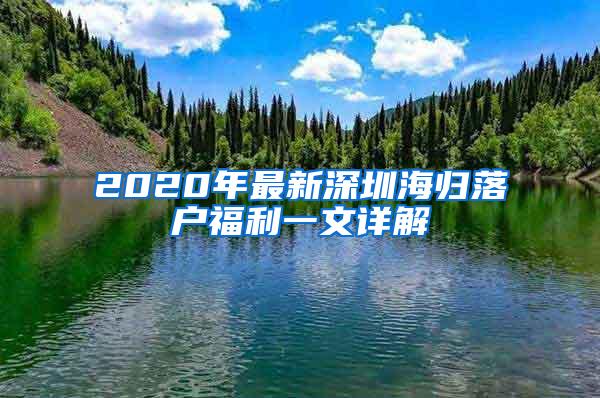 2020年最新深圳海歸落戶(hù)福利一文詳解