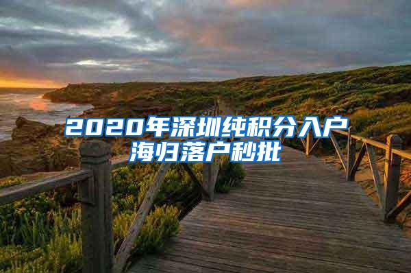 2020年深圳純積分入戶海歸落戶秒批