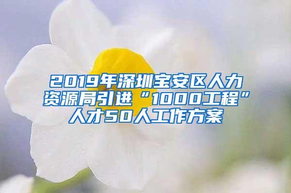 2019年深圳寶安區(qū)人力資源局引進(jìn)“1000工程”人才50人工作方案