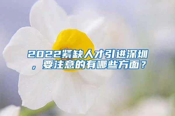 2022緊缺人才引進深圳，要注意的有哪些方面？