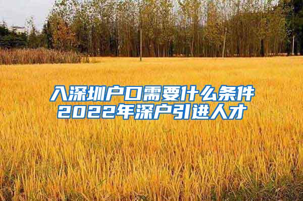 入深圳戶口需要什么條件2022年深戶引進(jìn)人才