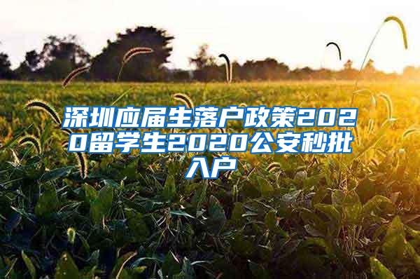 深圳應(yīng)屆生落戶政策2020留學(xué)生2020公安秒批入戶