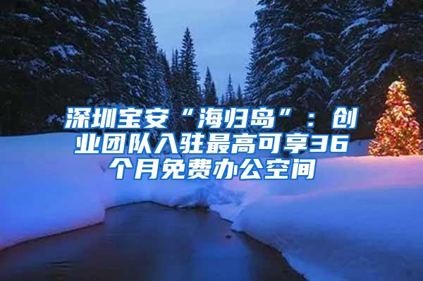 深圳寶安“海歸島”：創(chuàng)業(yè)團(tuán)隊(duì)入駐最高可享36個(gè)月免費(fèi)辦公空間