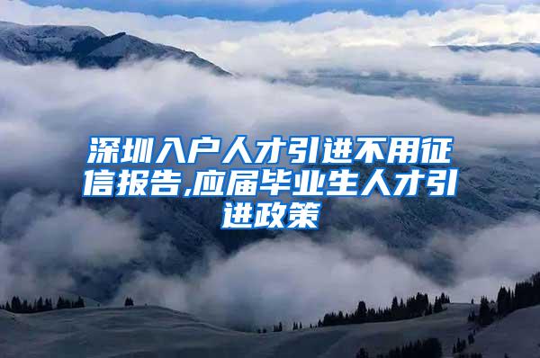 深圳入戶人才引進(jìn)不用征信報(bào)告,應(yīng)屆畢業(yè)生人才引進(jìn)政策