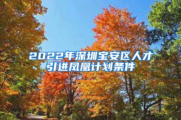 2022年深圳寶安區(qū)人才引進(jìn)鳳凰計(jì)劃條件