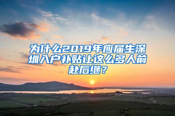 為什么2019年應(yīng)屆生深圳入戶補(bǔ)貼讓這么多人前赴后繼？