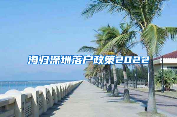 海歸深圳落戶政策2022