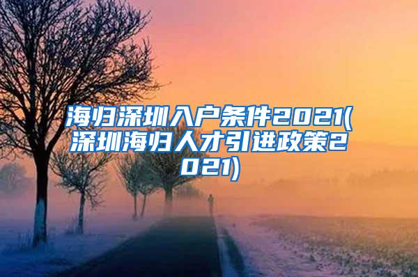 海歸深圳入戶條件2021(深圳海歸人才引進政策2021)