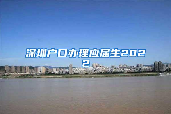 深圳戶口辦理應屆生2022