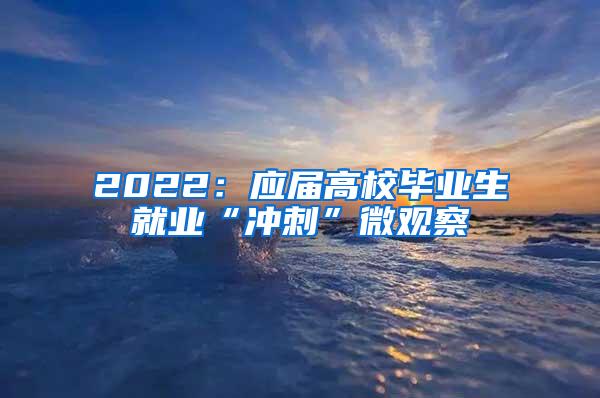 2022：應(yīng)屆高校畢業(yè)生就業(yè)“沖刺”微觀察