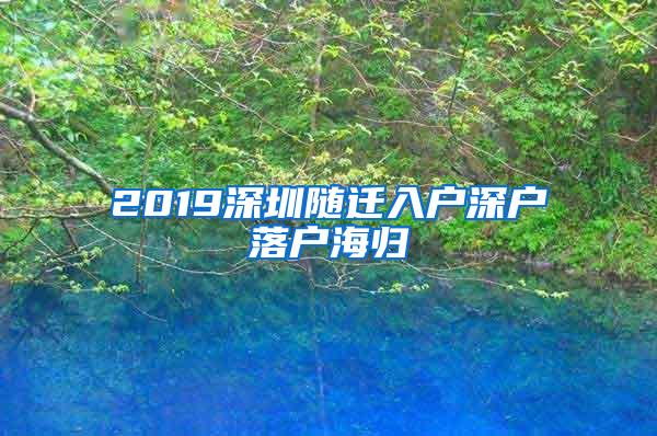 2019深圳隨遷入戶深戶落戶海歸