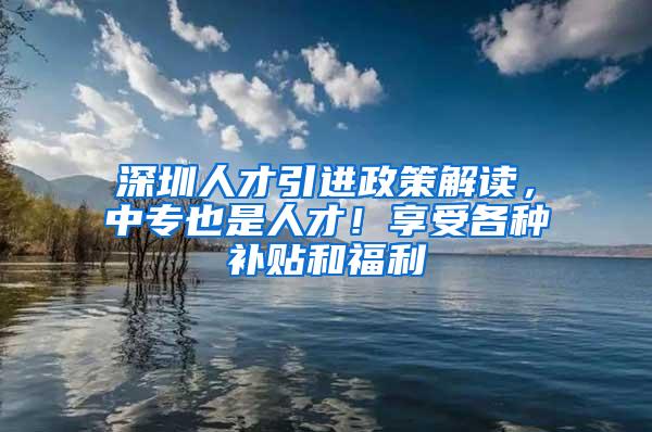 深圳人才引進(jìn)政策解讀，中專也是人才！享受各種補(bǔ)貼和福利